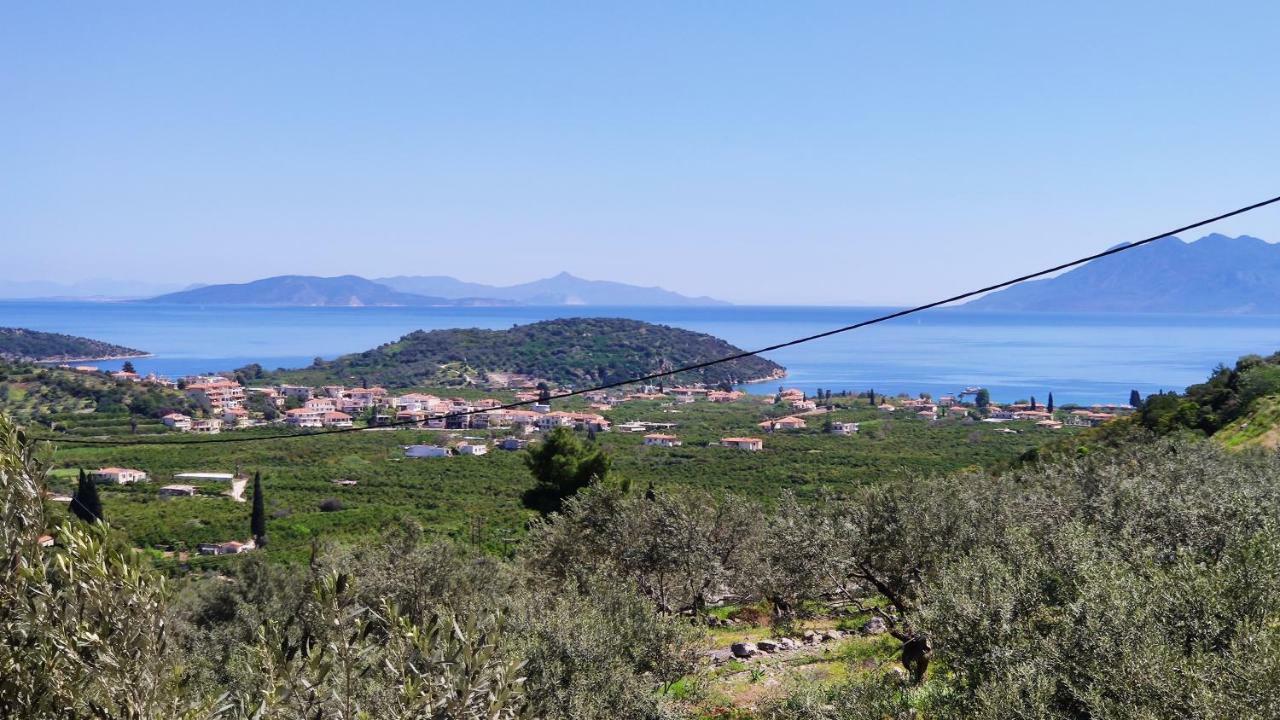 Aricobe Villa Epidaurus Ngoại thất bức ảnh